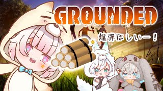 【Grounded】今回は爆弾でボコボコ穴をあけようと思います！【椎名シロホシ/Vtuber】#王様配信シロ