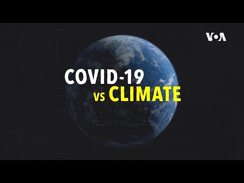 Covid-19 vs. Climate Change