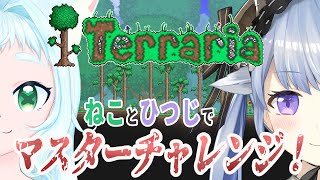 【Terarria】初心者でもマスターモードがやりたい！！！！#15 【拉致/コラボ】