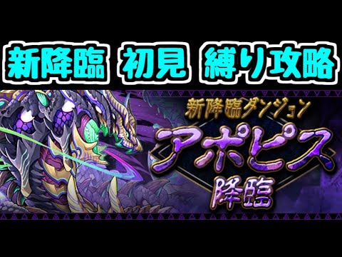 【新ダンジョン】アポピス降臨初見チャレンジ！！【パズドラ】