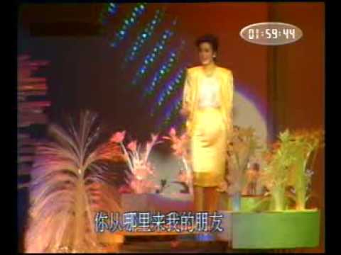 毛阿敏 - 思念