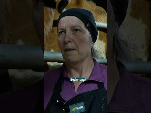 Das Vieh und der Landwirt  #unserland #tierhaltung #tiere #landwirtschaft #landleben #shorts