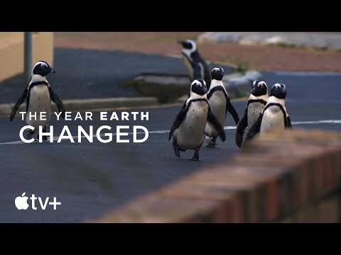 The Year Earth Changed'