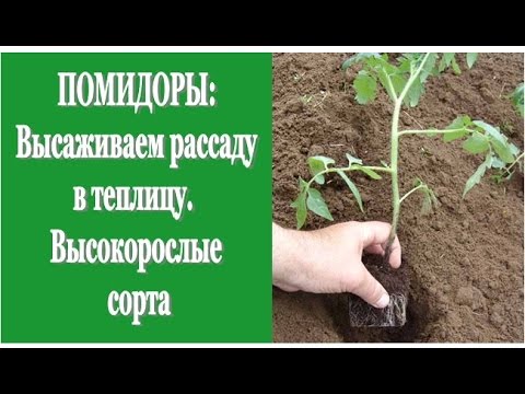 Энерген гумат калия инструкция