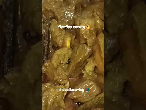 ভিন্ন জায়গায় ভিন্ন সাধের পিকনিক🥰#minusultanavlog #food #reels #পিকনিক #shorts #vairal #fypage#beef
