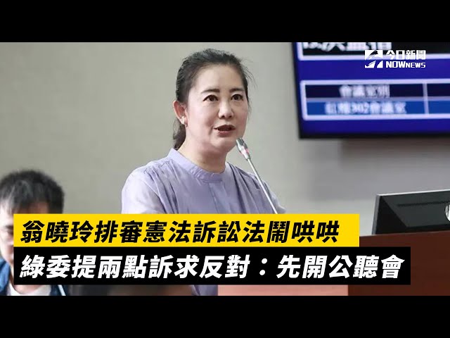 翁曉玲排審憲法訴訟法 綠提兩點訴求反對