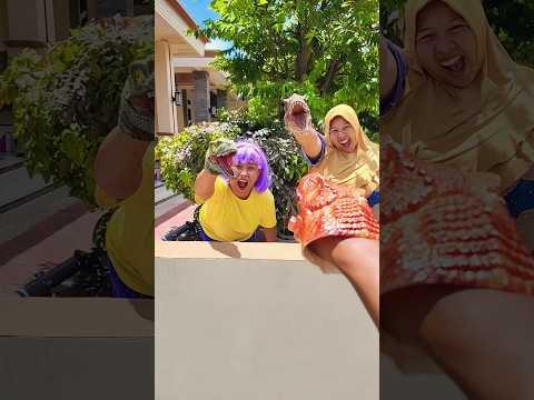 dinosaurus emak kok dilawan #shorts #funny #trending #subscribe