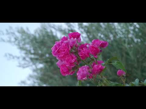 Vidéo de l’hébergement