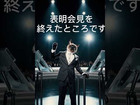 小泉進次郎とシャム猫の面白動画：癒しと笑いをお届け サムネイル