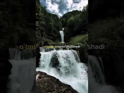 #youtubeshort #youtuber #youtube #youtubevideo