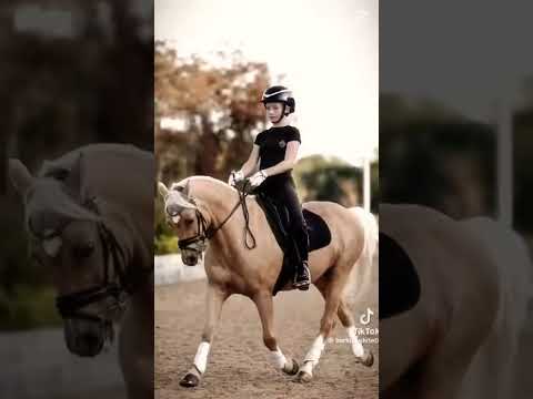Popcorn edit his trot #horse #equestrian #edit