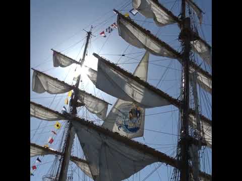 ARC Gloria Tall Ship in Portugal #colombiannavy #subscribe #views #buquegloria #docks