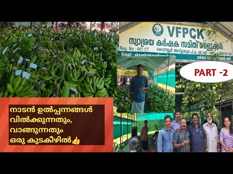 എങ്ങനെ കൃഷി കൂടാതിരിക്കും.. ഇങ്ങനെ കർഷകസമിതികൾ ഉണ്ടായാൽ. ഇതല്ലേ ഭക്ഷ്യ സുരക്ഷ #malayalamkrishivedio