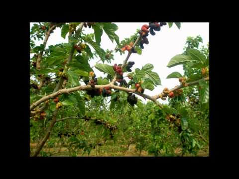추억명곡베스트.flv