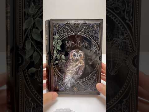 Halloween Witchcraft Book Cookie Tin #shorts