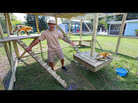 Building a NEW CAGE for EXOTIC ANIMALS!! In today’s video, we start another project here at the farm. This one is quite large, for quite th