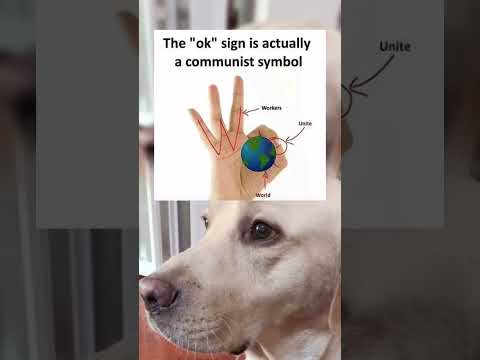 #memes #story #dog #shorts #pets