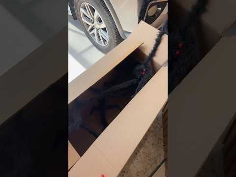 ABRI A CAIXA MISTERIOSA E ME ARREPENDI