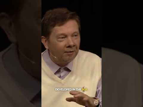 The Leap of a Lifetime, with Eckhart Tolle