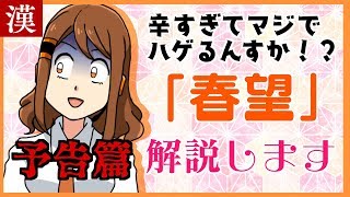 【予告篇】漢詩「春望」大解説します…！【是國かたる】