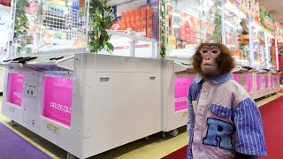 動画サムネイル