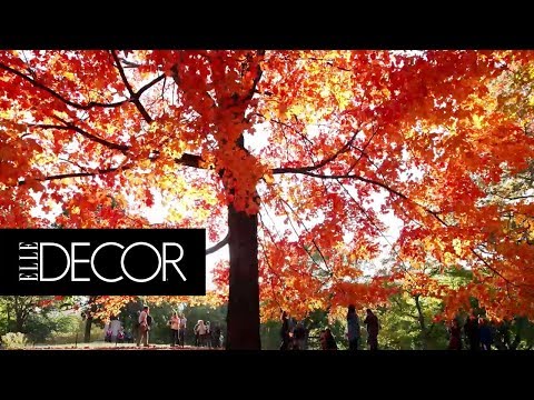 The 7 Best Places to See Fall Foliage in New England | ELLE Décor