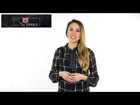 Welcome to FAT PIG SIGNALS Bitcoin/Ethereum/Litecoin 24/7 LIVE TRADING ROOM
