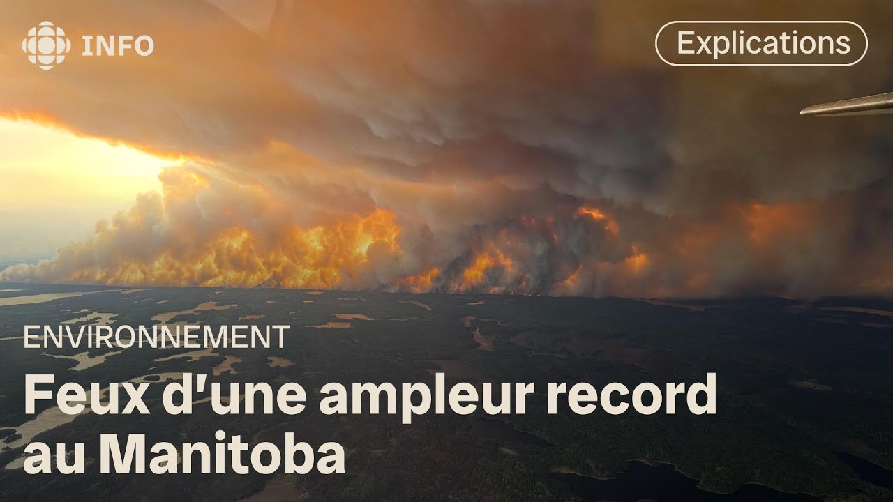 Le Manitoba déclare l'état d'urgence : le point sur les feux de forêt qui font rage | D'abord l'info