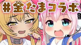 ヤリ●ンお嬢様エ■漫画家VtuberでんこちゃんVSアダ●トグッズとA●メーカー公式専属Vtuberたまにゃん【たまぷろじぇくと】🎀たまぷろ