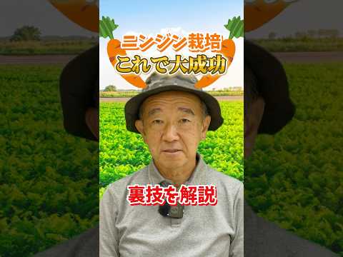 家庭菜園や農園のニンジン栽培を大成功させる裏技！【農家直伝】#shorts