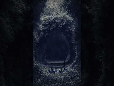 ان لم تكن انت العشگ/حيدر الفريجي #اكسبلور #لايك #تصميمي #حيدر_الفريجي #الحسين