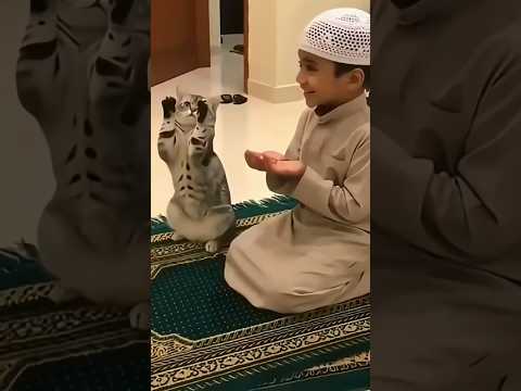 Mashallah❤️❤️❤️ #cute