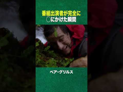 #shorts ベア史上最も危険なシーン(ディスカバリーチャンネル)
