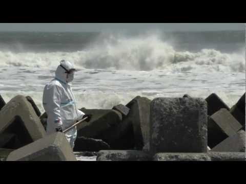 Welcome to Fukushima'