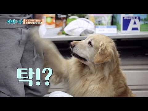 나일주, 은지원의 아랫부분(?) 강타!?