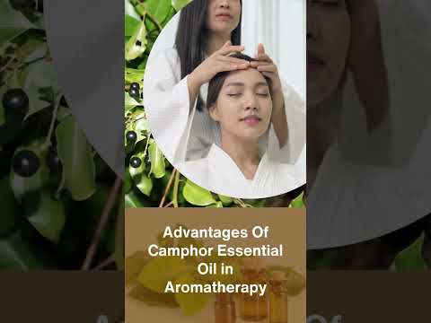 Get Top Quality Camphor Essential Oil at best prices - Aarnav Global Exports