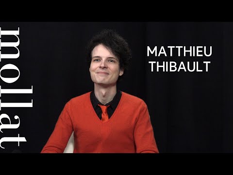 Vido de Matthieu Thibault