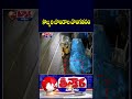Auto Driver Stole Coconuts In Banjara Hills | V6 Teenmaar - 01:02 min - News - Video