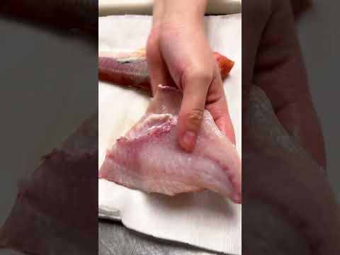 【和食シェフが教える】魚の捌き方講座#shorts