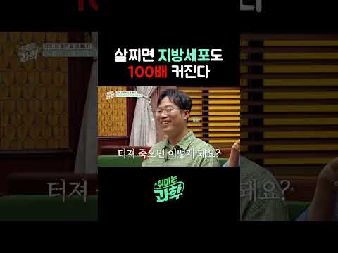 살찌면 지방세포도 100배 커진다 #지방 #다이어트 #염증 #<strong>데프콘</strong> #김재범