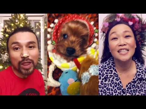 A Christmas Message (Puppies Are Forever - Sia)