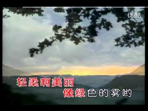 彭麗媛-月光下的鳳尾竹--中國第一夫人