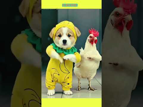 Sweet doggy dancing 🥰#dance #dancemoves #dancevideo #babydance #baby #shortvideo #arts_forever