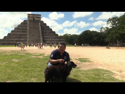 Rescue dogs help guard ancient Mexican pyramid  | AFP