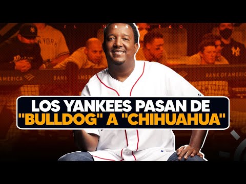 La Verdadera selección dominicana Voleibol o Baloncesto - Yankees son "Chihuahua" - Las Deportivas