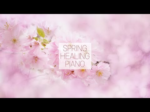 봄에 듣기 좋은 가요 피아노 연주곡 모음 1시간 K-pop Spring Healing Piano Music 1 hour | 신기원 피아노 커버 연주곡 Piano Cover