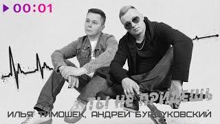 Илья Тимошек, Андрей Бурдуковский — Ты не придешь | Official Audio | 2025