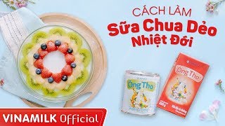 CÁCH LÀM SỮA CHUA DẺO NGON MỊN VỚI SỮA ĐẶC ÔNG THỌ