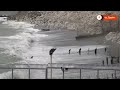 Children among migrants swimming from Morocco to Spanish enclave | REUTERS  - 00:43 min - News - Video
