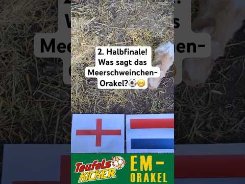 Euro 2024 Halbfinale! Was sagt ihr? #shorts #shortsvideo #teufelskicker #hörspiel #orakel #euro2024